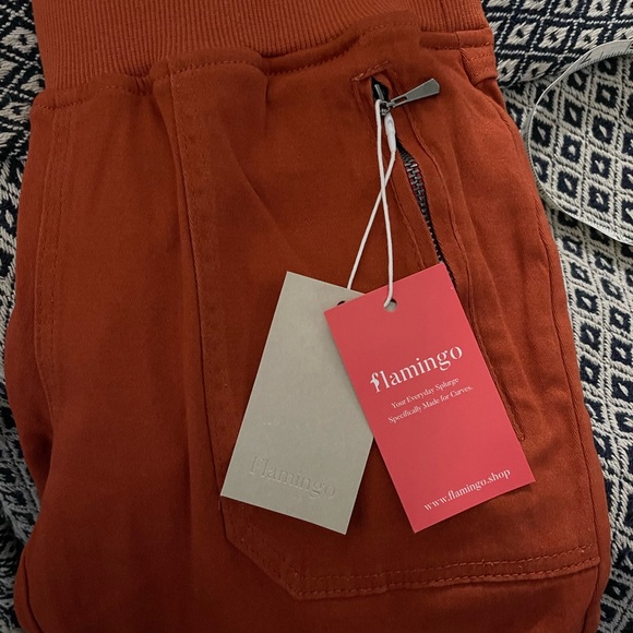 Rust Orange Pants - Picture 4 of 5